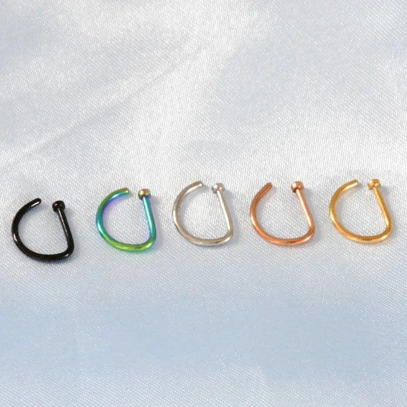 Piering Nose Ring Earrings