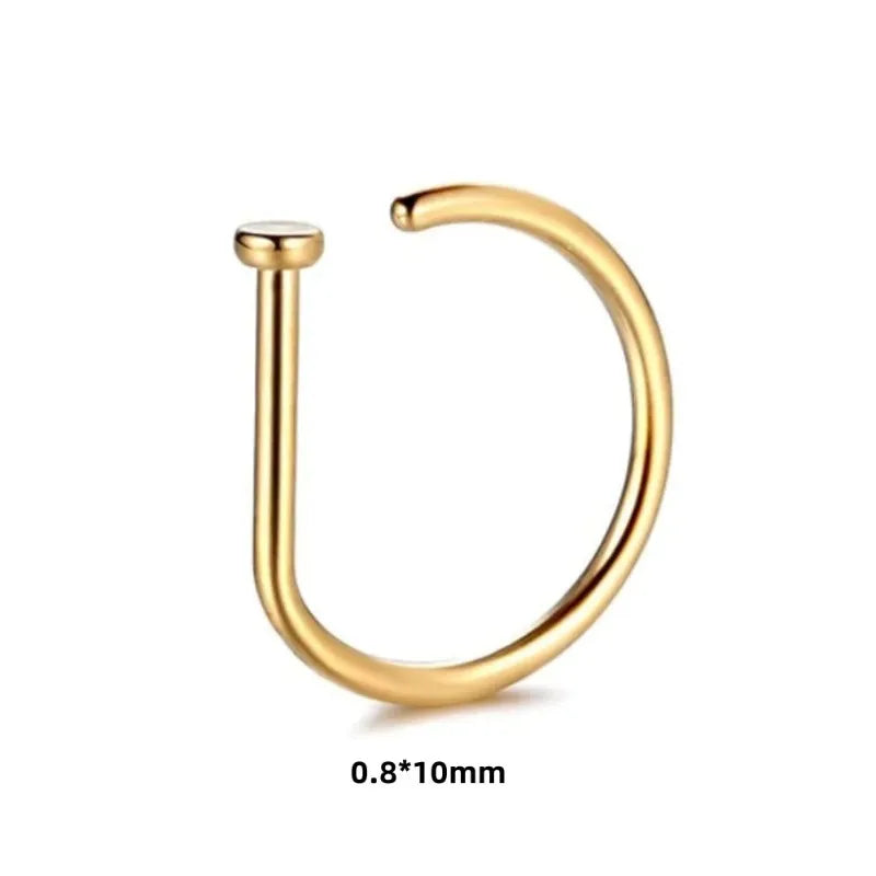 Piering Nose Ring Earrings