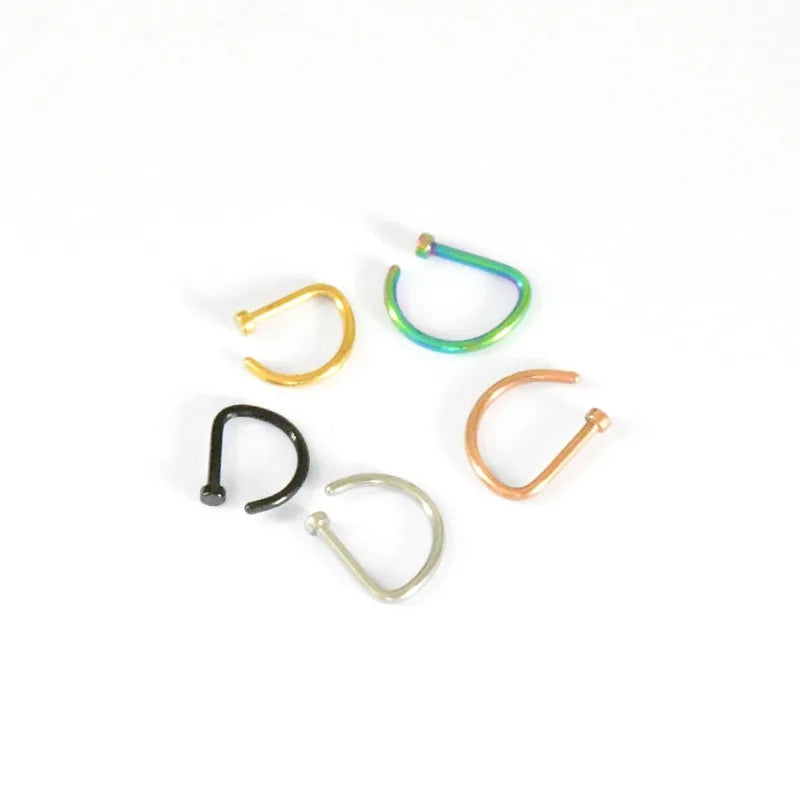 Piering Nose Ring Earrings